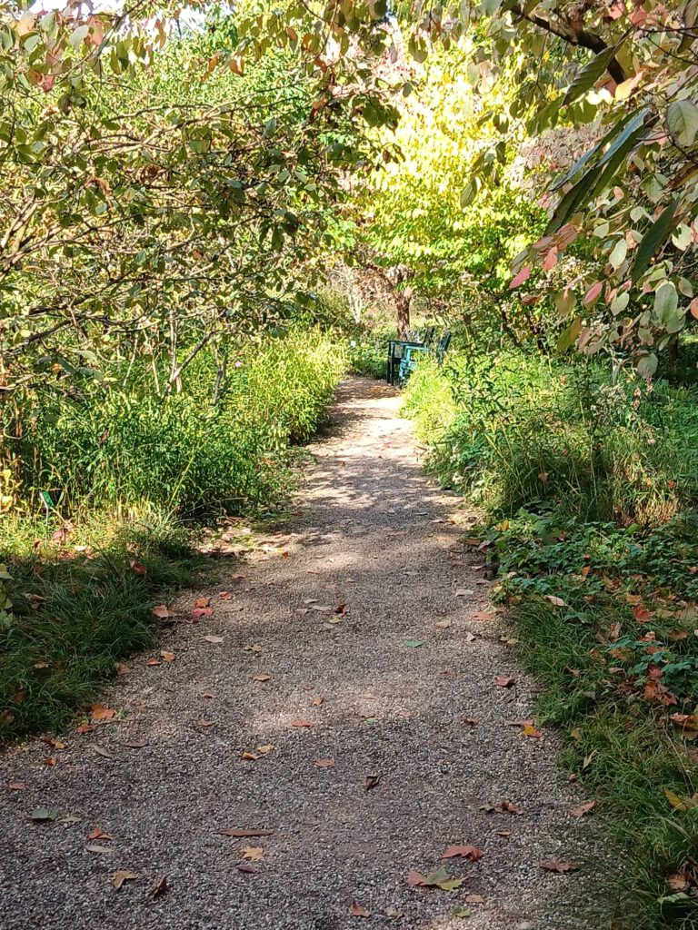 WhatsApp Bild 2025-10-24 um 21.56.34_da6a0820