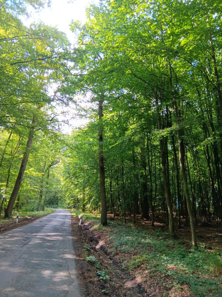 WhatsApp Bild 2025-10-24 um 21.56.34_fee1ed3d